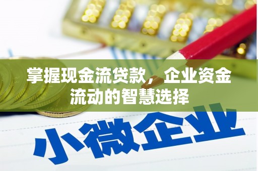 康马掌握现金流贷款，企业资金流动的智慧选择