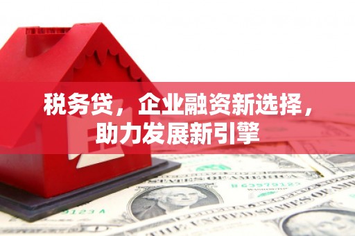 康马税务贷，企业融资新选择，助力发展新引擎