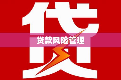 康马贷款风险管理