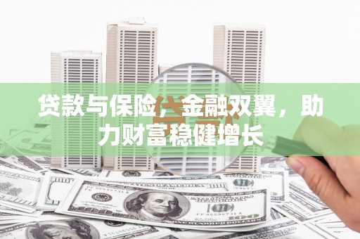 康马贷款与保险，金融双翼，助力财富稳健增长