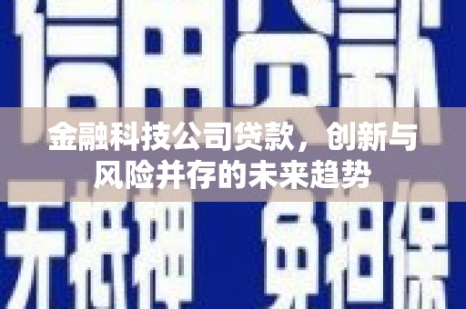 康马金融科技公司贷款，创新与风险并存的未来趋势