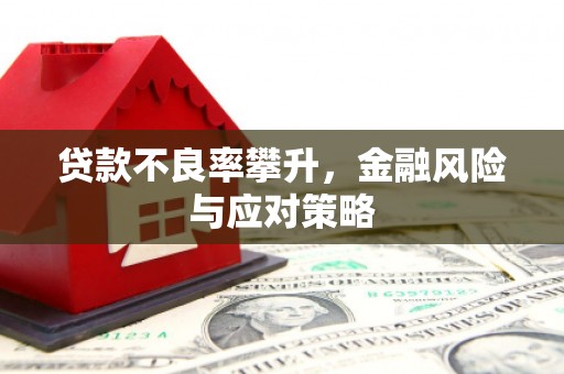 康马贷款不良率攀升，金融风险与应对策略