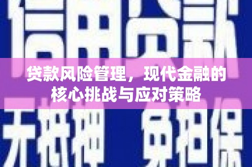 康马贷款风险管理，现代金融的核心挑战与应对策略