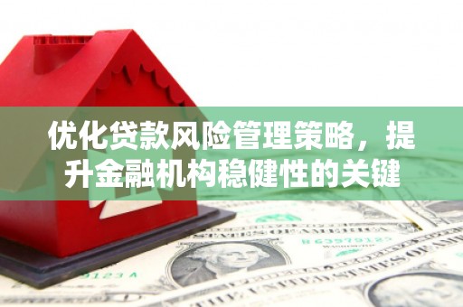 康马优化贷款风险管理策略，提升金融机构稳健性的关键