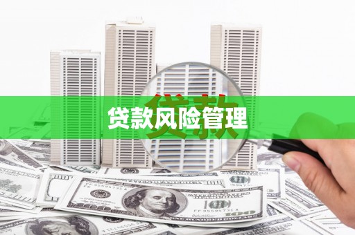 康马贷款风险管理