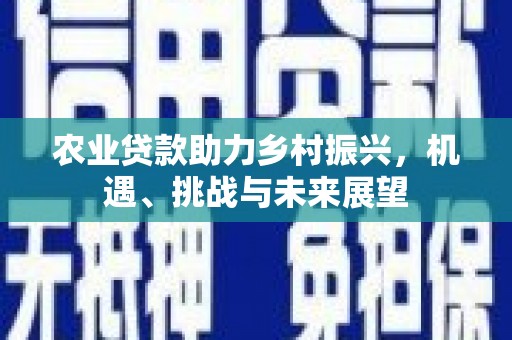 康马农业贷款助力乡村振兴，机遇、挑战与未来展望