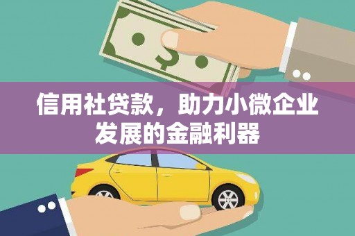 康马信用社贷款，助力小微企业发展的金融利器