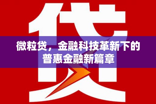 康马微粒贷，金融科技革新下的普惠金融新篇章