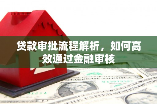 康马贷款审批流程解析，如何高效通过金融审核
