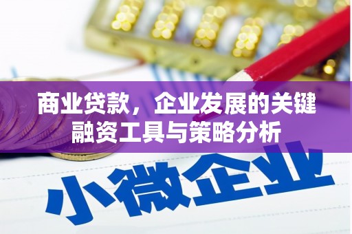 康马商业贷款，企业发展的关键融资工具与策略分析