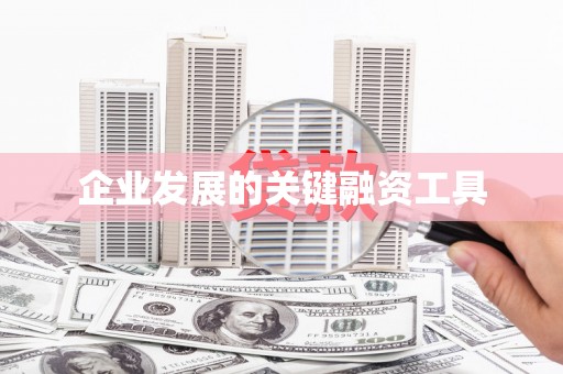 康马企业发展的关键融资工具