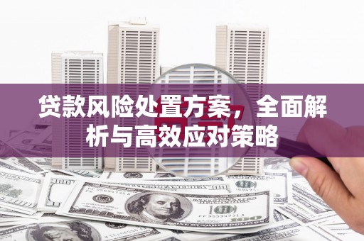 康马贷款风险处置方案，全面解析与高效应对策略