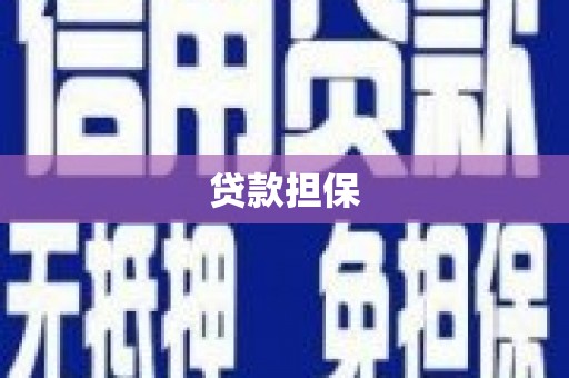 康马贷款担保