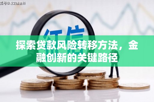 康马探索贷款风险转移方法，金融创新的关键路径