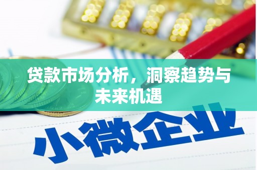 康马贷款市场分析，洞察趋势与未来机遇