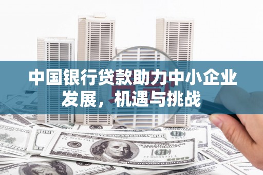 康马中国银行贷款助力中小企业发展，机遇与挑战