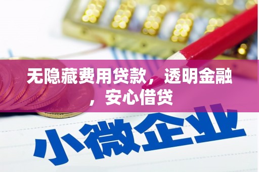 康马无隐藏费用贷款，透明金融，安心借贷