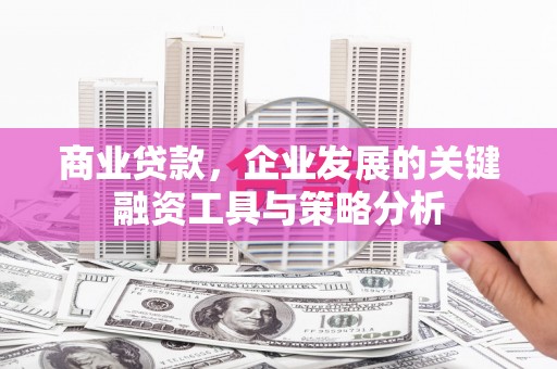 康马商业贷款，企业发展的关键融资工具与策略分析
