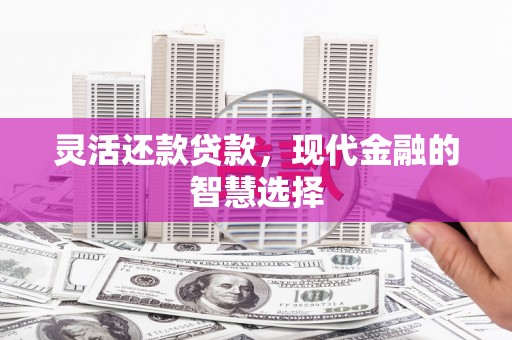 康马灵活还款贷款，现代金融的智慧选择