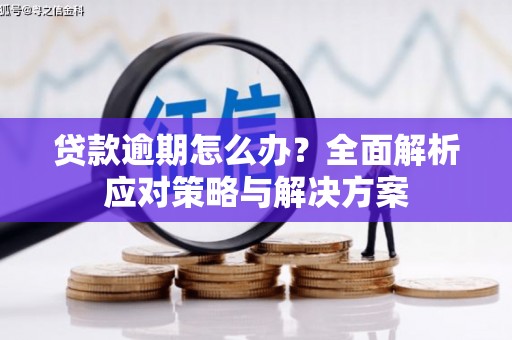 康马贷款逾期怎么办？全面解析应对策略与解决方案
