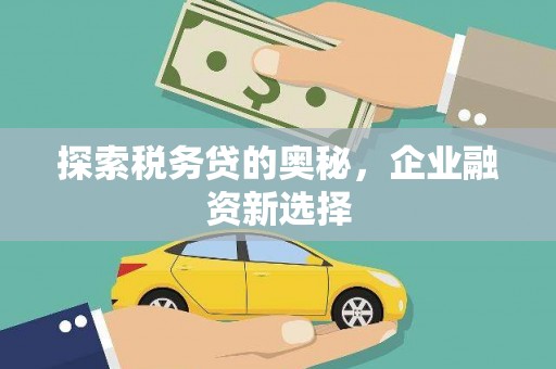 康马探索税务贷的奥秘，企业融资新选择