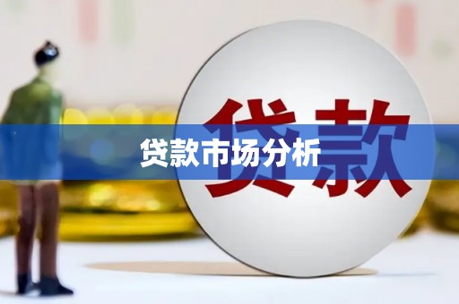 康马贷款市场分析