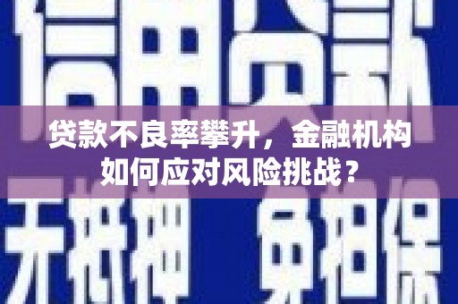 康马贷款不良率攀升，金融机构如何应对风险挑战？