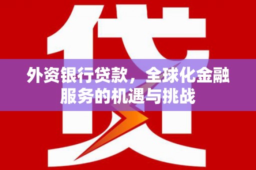 康马外资银行贷款，全球化金融服务的机遇与挑战
