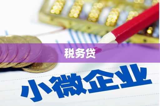 康马税务贷