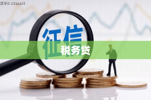 康马税务贷