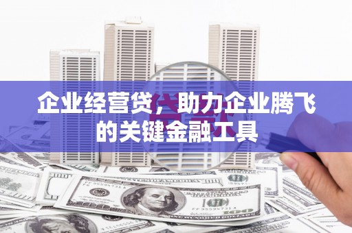 康马企业经营贷，助力企业腾飞的关键金融工具