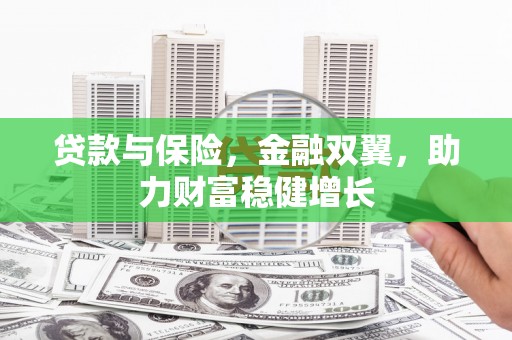 康马贷款与保险，金融双翼，助力财富稳健增长
