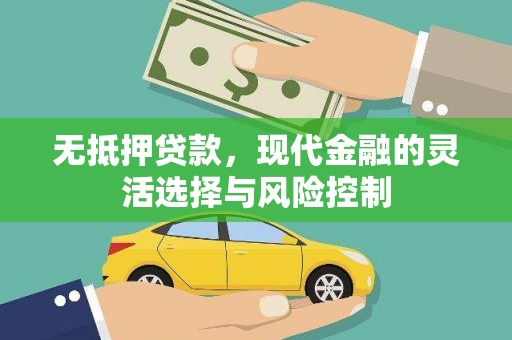 康马无抵押贷款，现代金融的灵活选择与风险控制