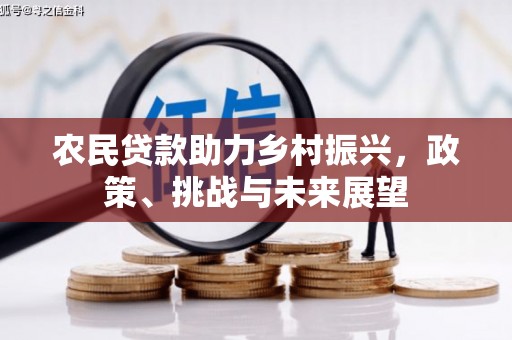 康马农民贷款助力乡村振兴，政策、挑战与未来展望