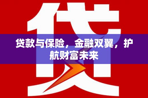 康马贷款与保险，金融双翼，护航财富未来