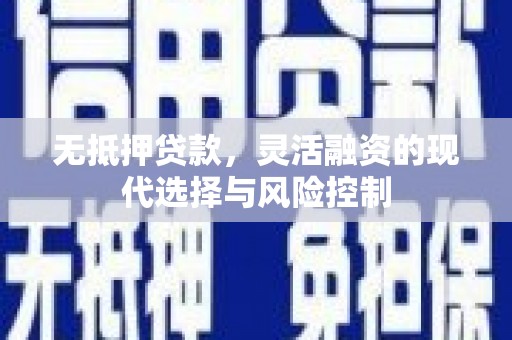 康马无抵押贷款，灵活融资的现代选择与风险控制