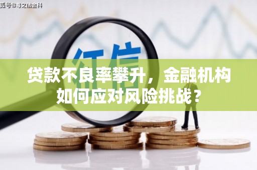 康马贷款不良率攀升，金融机构如何应对风险挑战？