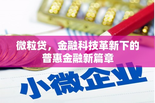康马微粒贷，金融科技革新下的普惠金融新篇章