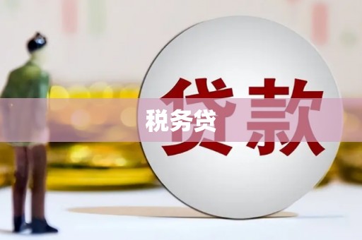 康马税务贷