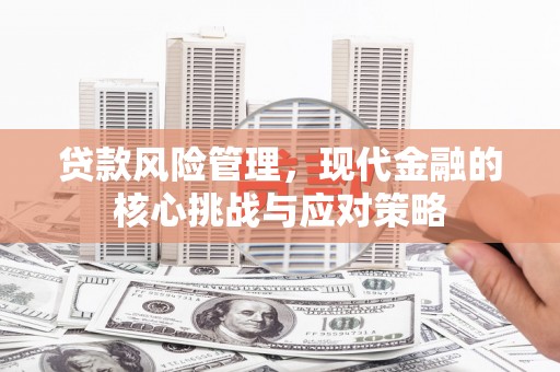 康马贷款风险管理，现代金融的核心挑战与应对策略