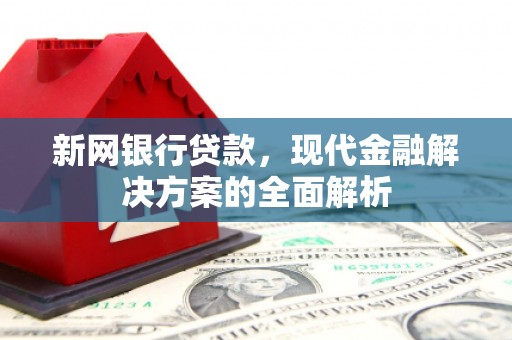 康马新网银行贷款，现代金融解决方案的全面解析