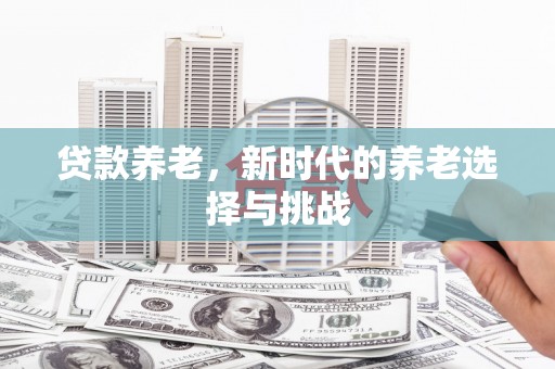 康马贷款养老，新时代的养老选择与挑战