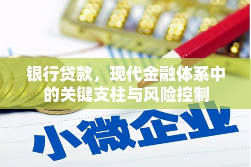 康马银行贷款，现代金融体系中的关键支柱与风险控制