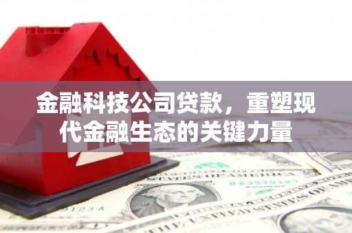康马金融科技公司贷款，重塑现代金融生态的关键力量