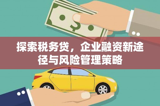 康马探索税务贷，企业融资新途径与风险管理策略