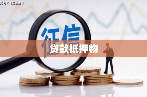 康马贷款抵押物