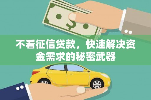 康马不看征信贷款，快速解决资金需求的秘密武器