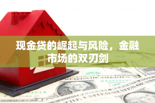 康马现金贷的崛起与风险，金融市场的双刃剑