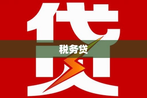 康马税务贷