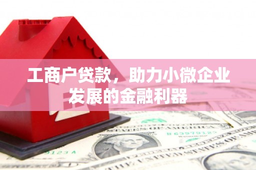 康马工商户贷款，助力小微企业发展的金融利器